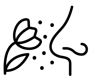 Icon pollen allergy